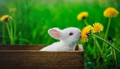 开云体育入口-最新世界杯：德国止步掘金！技术统计揭开钢铁战车熄火真相