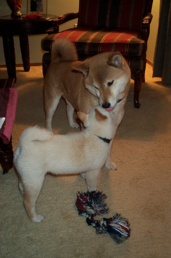 凯塞多一剑封喉！巴拉圭险胜智利，美洲杯焦点战深度解析